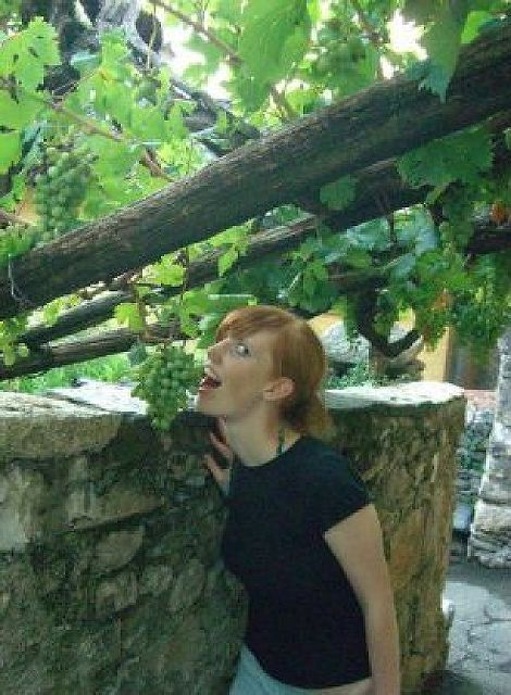 Traube - Ein Glas Wein mit Dir?